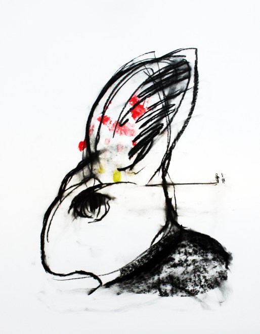 Hidden Message_napob