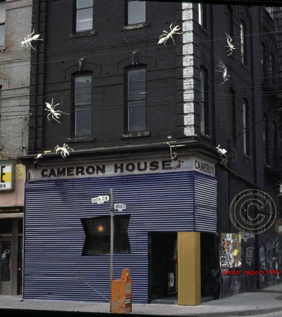 Papal Installation 1984